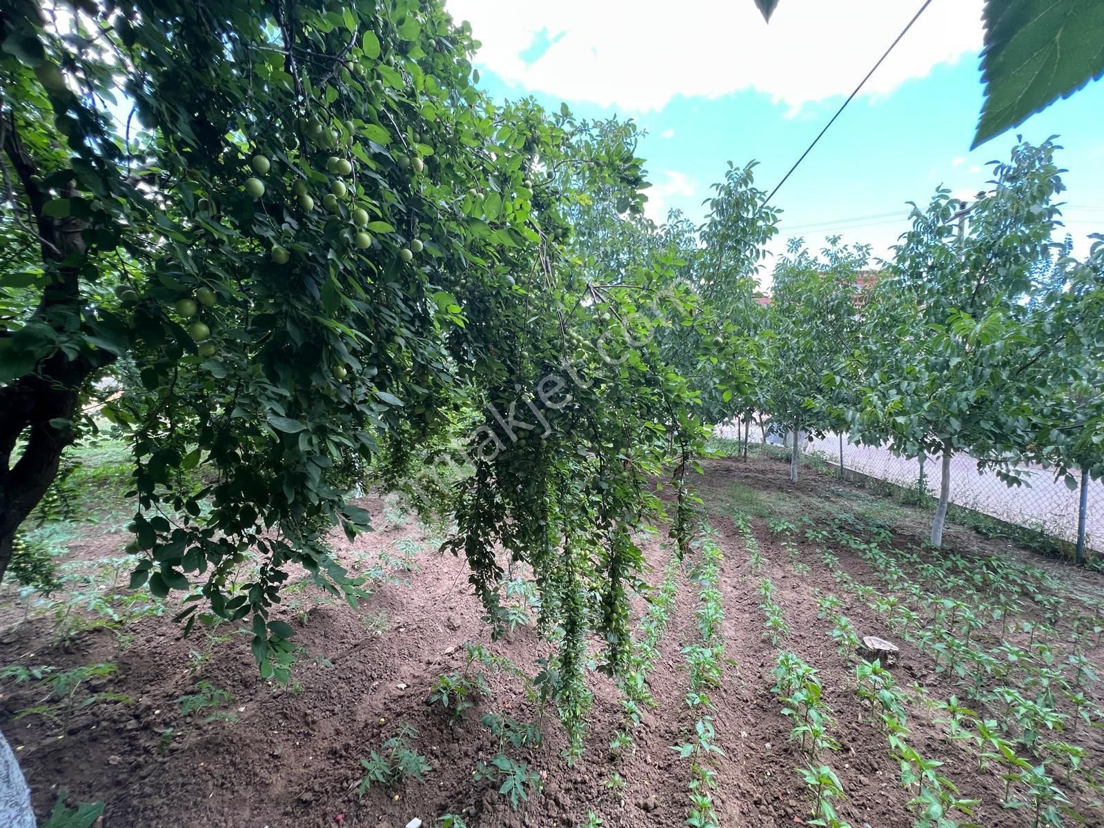 Ticari+konut Cadde Üzeri Köşe Başı Okulun Karşısı - Görsel 13