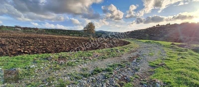 Çanakkale Merkez Civler Köyü Satılık Tarla Çanakkale Civler Köyünde Acil Satılık Tarla!