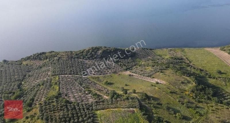 Bandırma Misakça Satılık Tarla Bandırma Musakça 1996m2 Tek Tapu Deniz Manzaralı Satılık Tarla