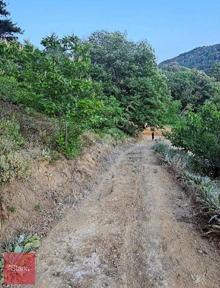 Osmangazi Yiğitali Satılık Tarla Osmangazi Yiğitali Köyünde Satılık 6 Adet 1.637 M2 Arazi