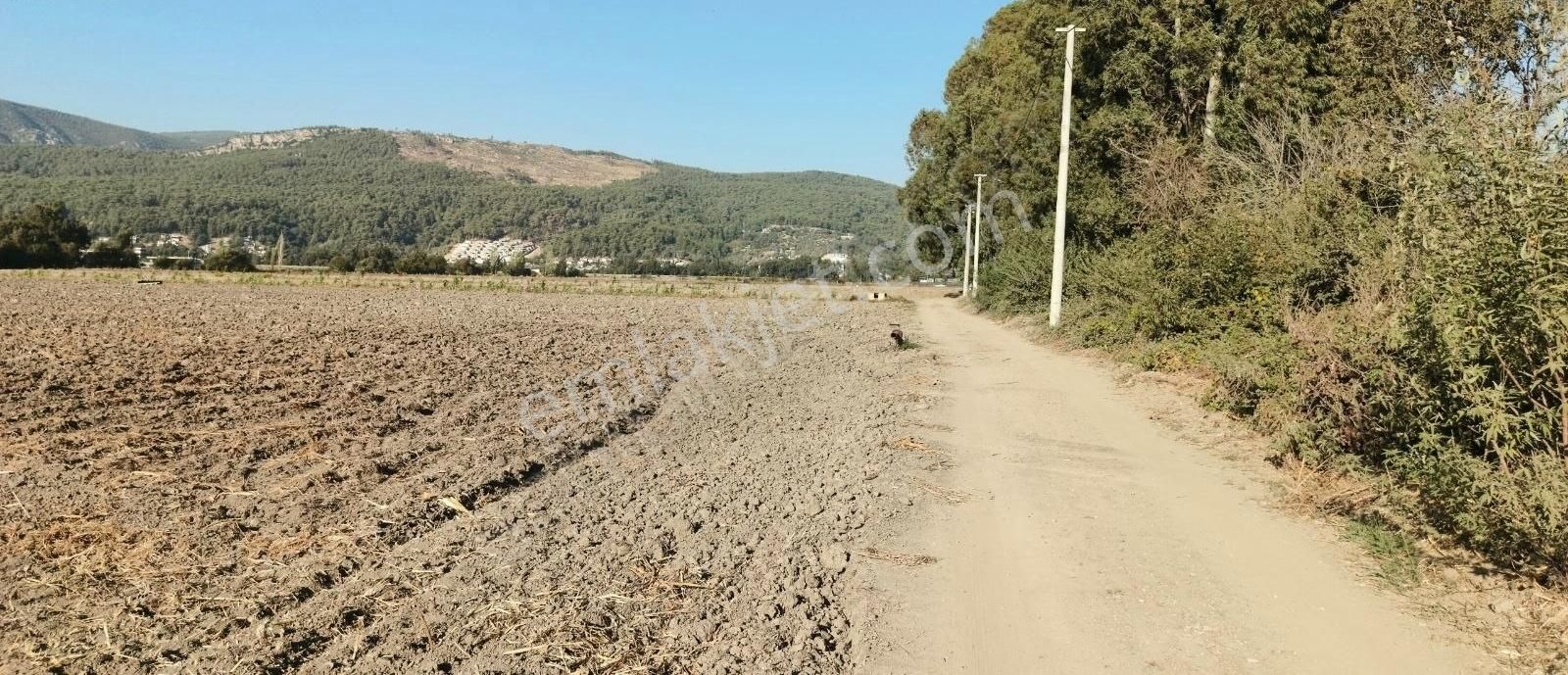 Ula Ataköy Satılık Tarla Akyaka'ya 10 Dakika Satılık Tarla