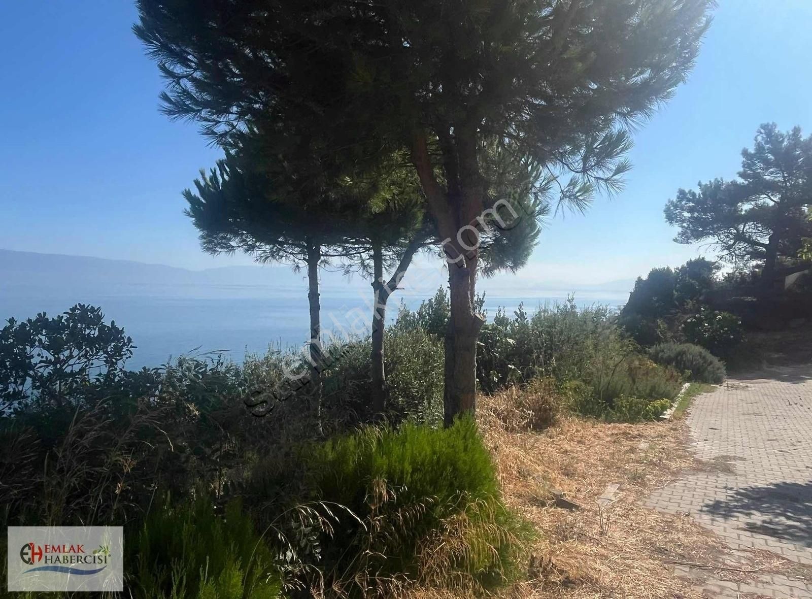 Mudanya Çamlıbel'de Denize Sıfır Kupon Arazi Ve Ev - Görsel 6