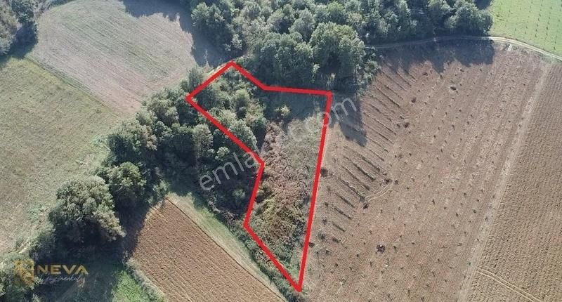 Kandıra Kaymaz Satılık Tarla Kandıra Araman'da 2.525 M2 Satılık Resmi Yollu Arazi