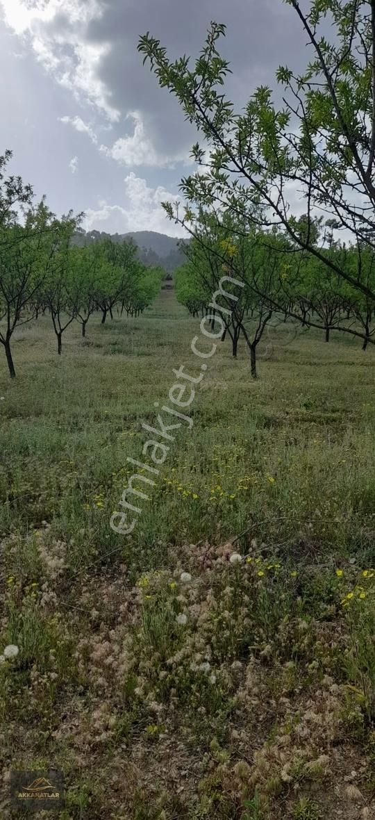 Gölhisar Yeşildere Köyü (Merkez) Satılık Tarla Burdur Gölhisar Yeşildere De Kupon Tarla(bahçe)