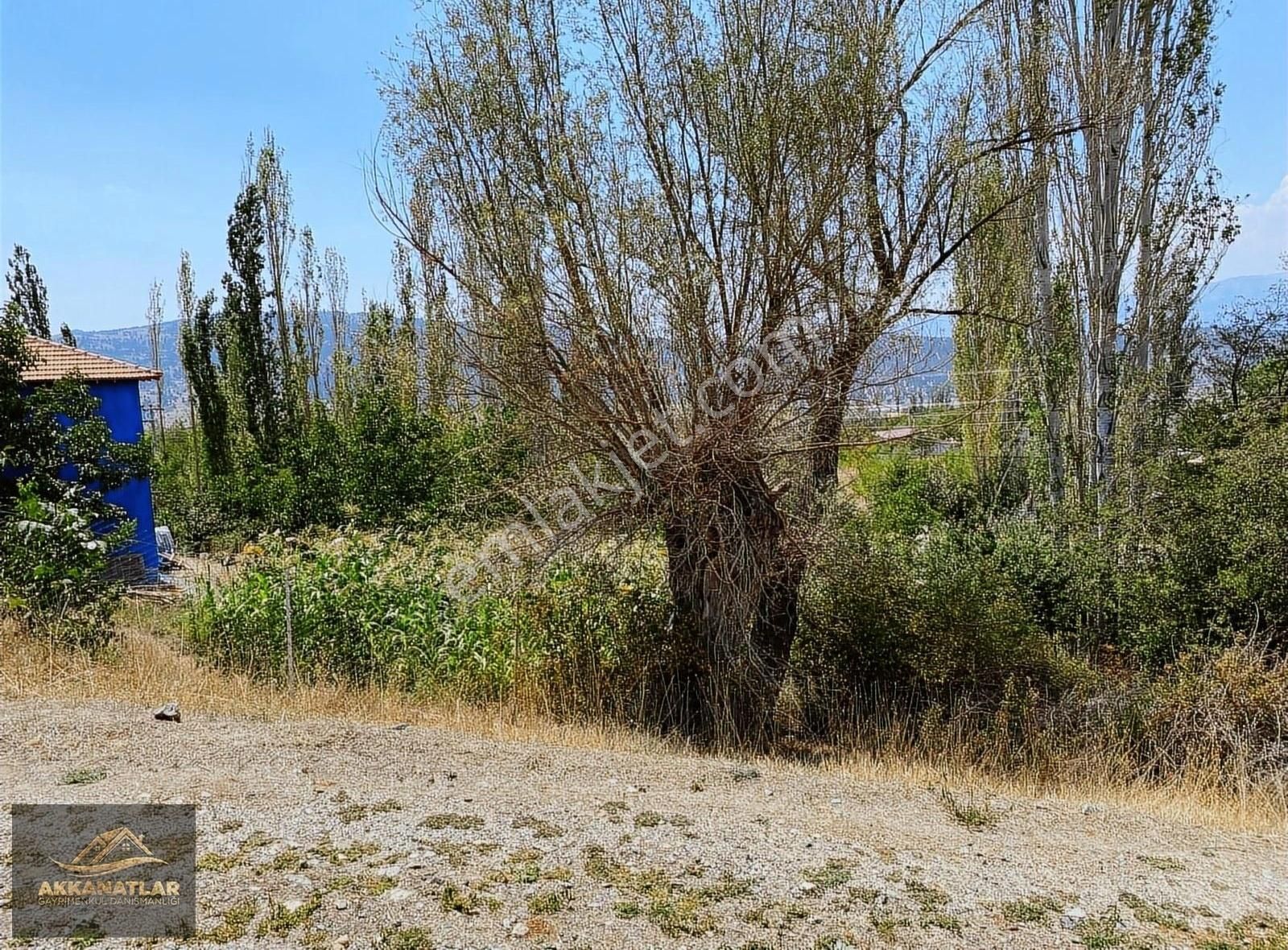 Muğla Seydikemer Doğanlar Mahallesınde Satılık Tarla - Görsel 4