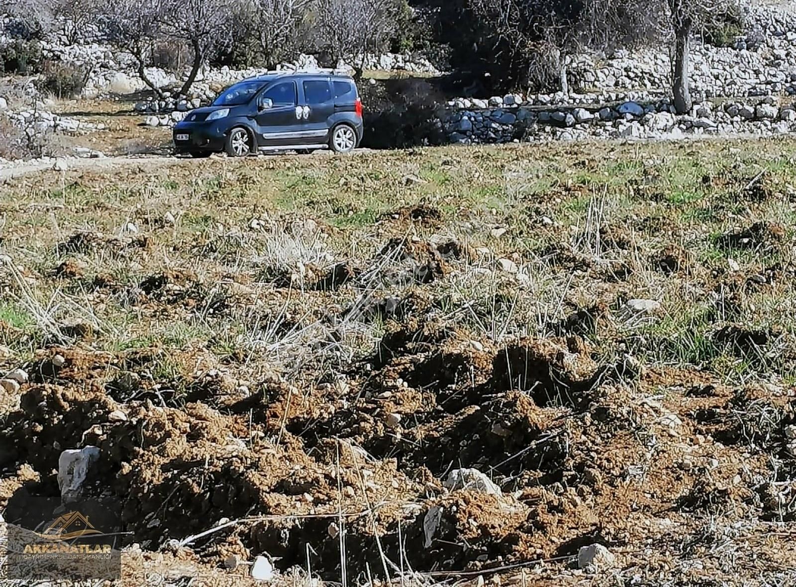 Kaş Yaylapalamut Satılık Tarla Antalya Kaş Çavdır Köyiçi İmarlı Tarlalar