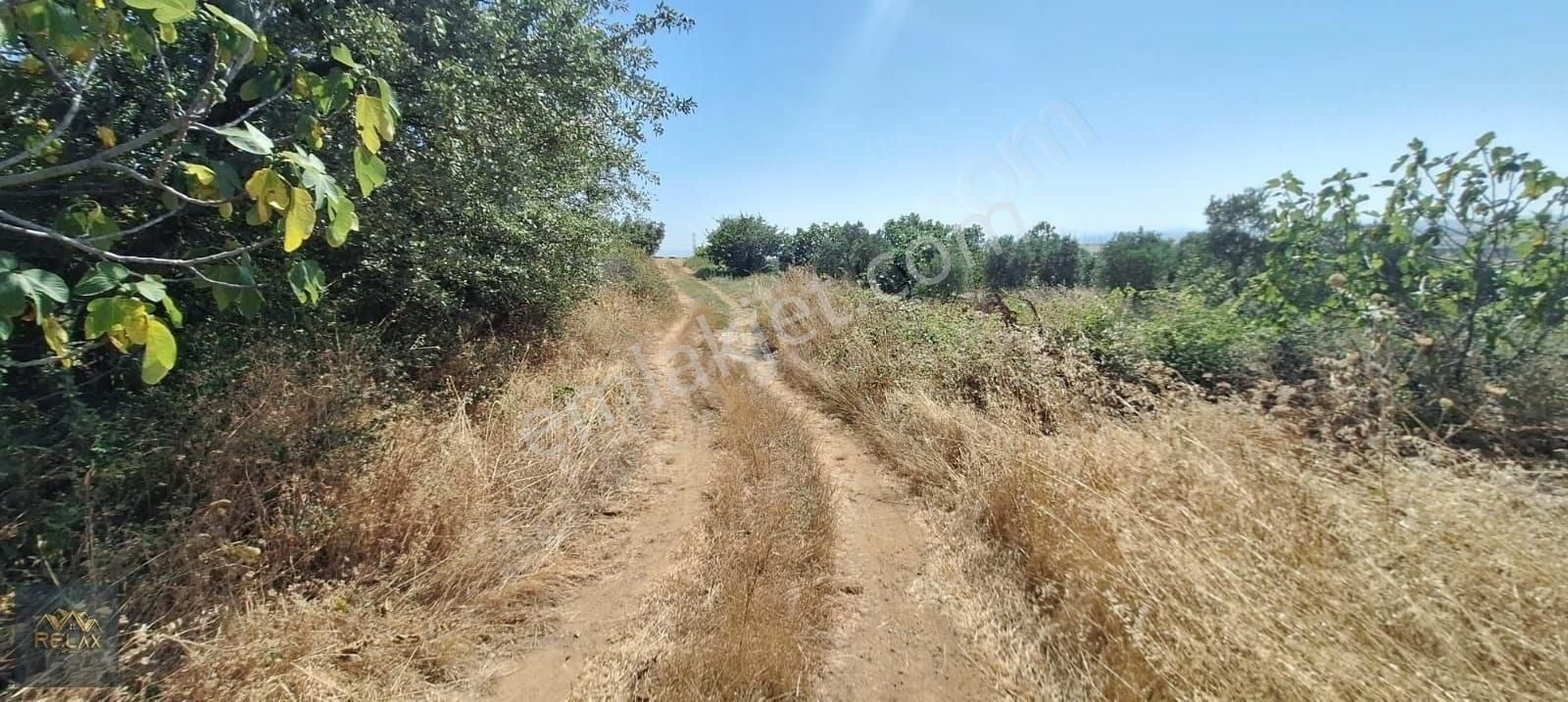 Bandırma Doğruca Satılık Tarla Bandırma Doğruca Mahallesinde Satılık Bağ