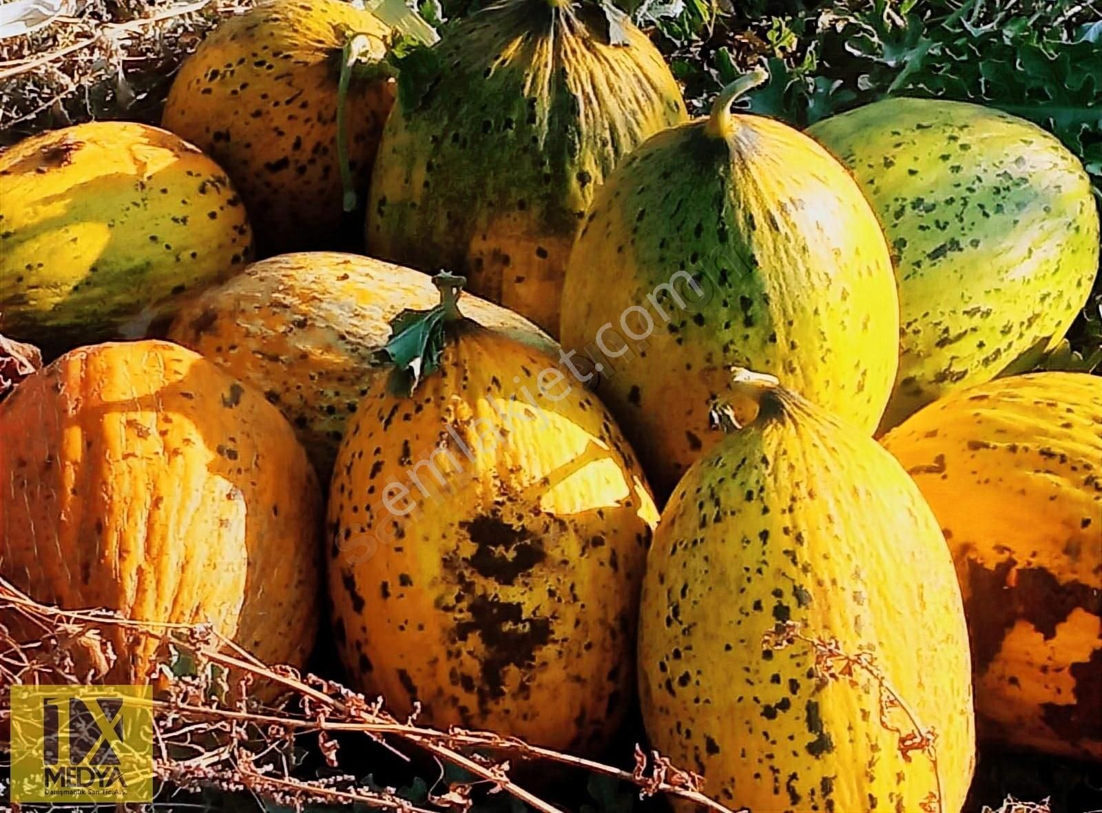 Ankara-altındağ-aydıncık Mahallesinde Yatırım İmkanı - Görsel 6