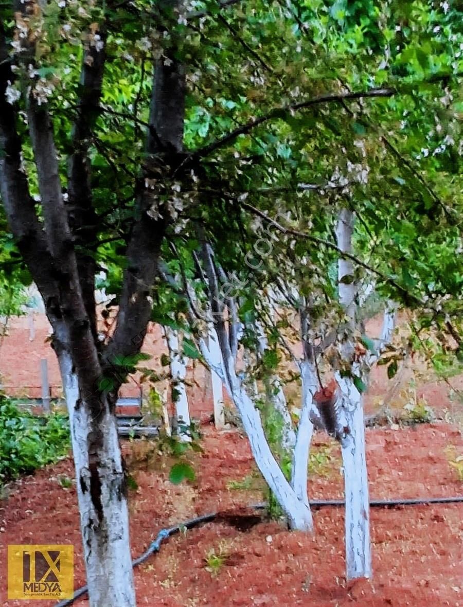 Ankara-altındağ-aydıncık Mahallesinde Yatırım İmkanı - Görsel 2