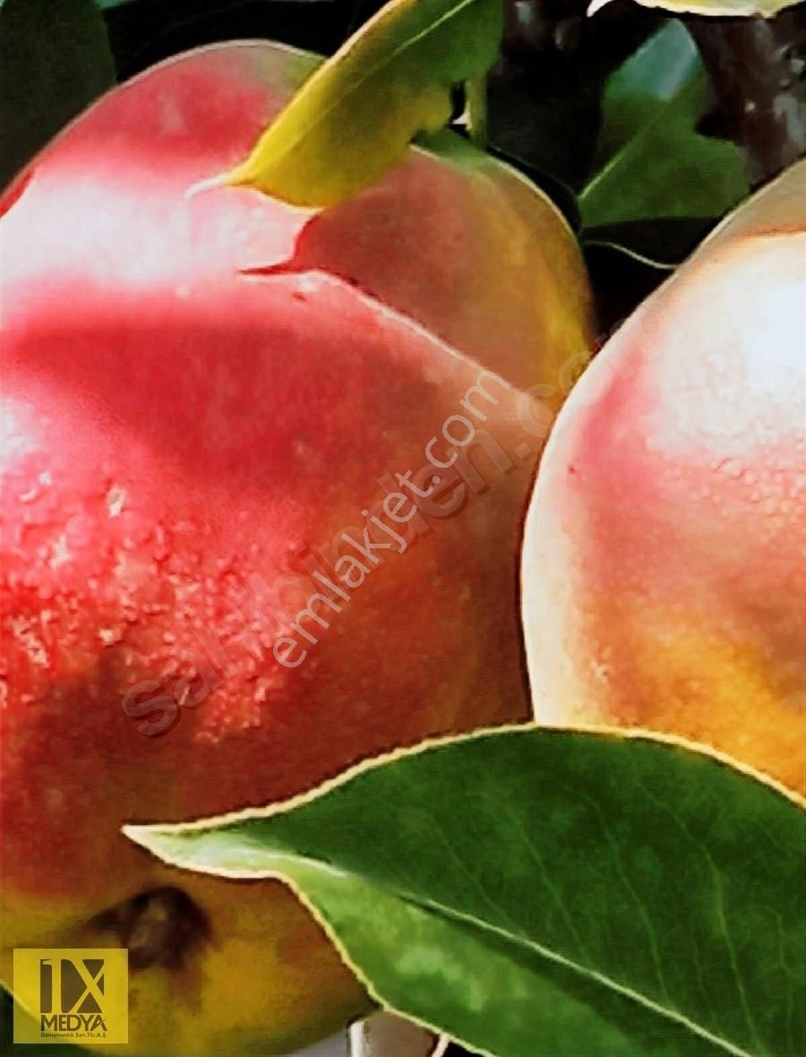 Ankara-altındağ-aydıncık Mahallesinde Yatırım İmkanı - Görsel 13