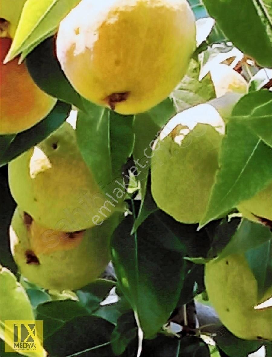 Ankara-altındağ-aydıncık Mahallesinde Yatırım İmkanı - Görsel 19