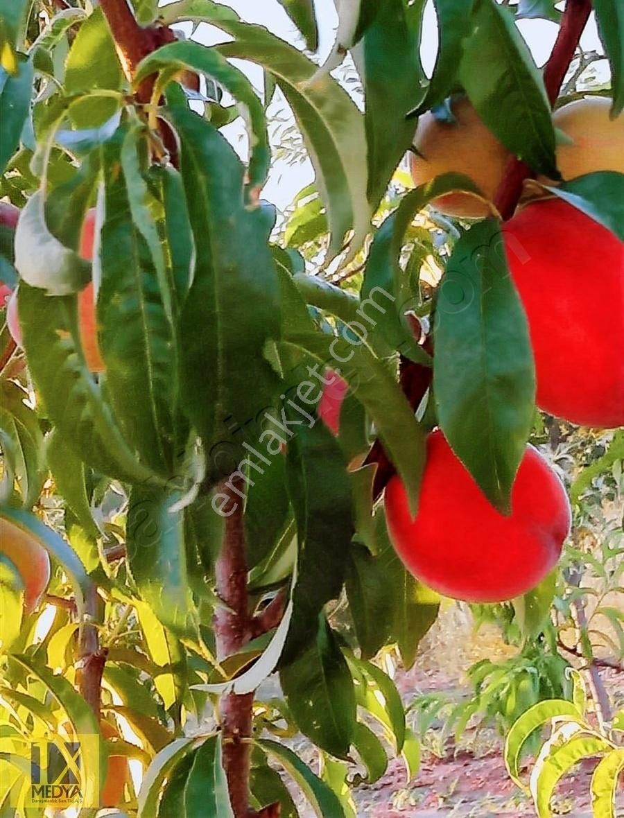 Ankara-altındağ-aydıncık Mahallesinde Yatırım İmkanı - Görsel 11