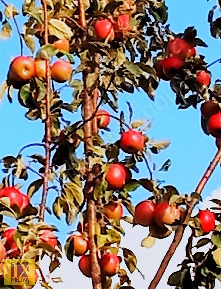Ankara-altındağ-aydıncık Mahallesinde Yatırım İmkanı - Görsel 9
