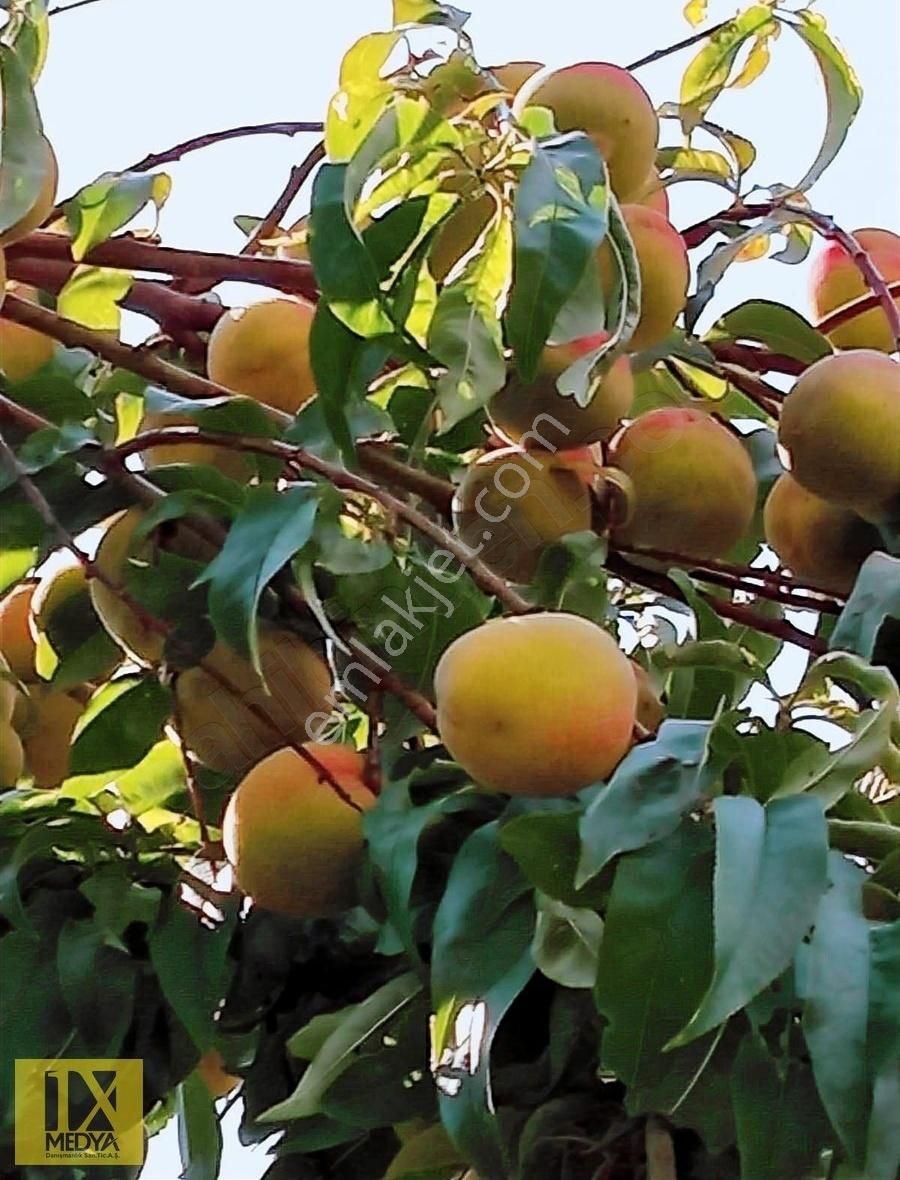 Ankara-altındağ-aydıncık Mahallesinde Yatırım İmkanı - Görsel 20