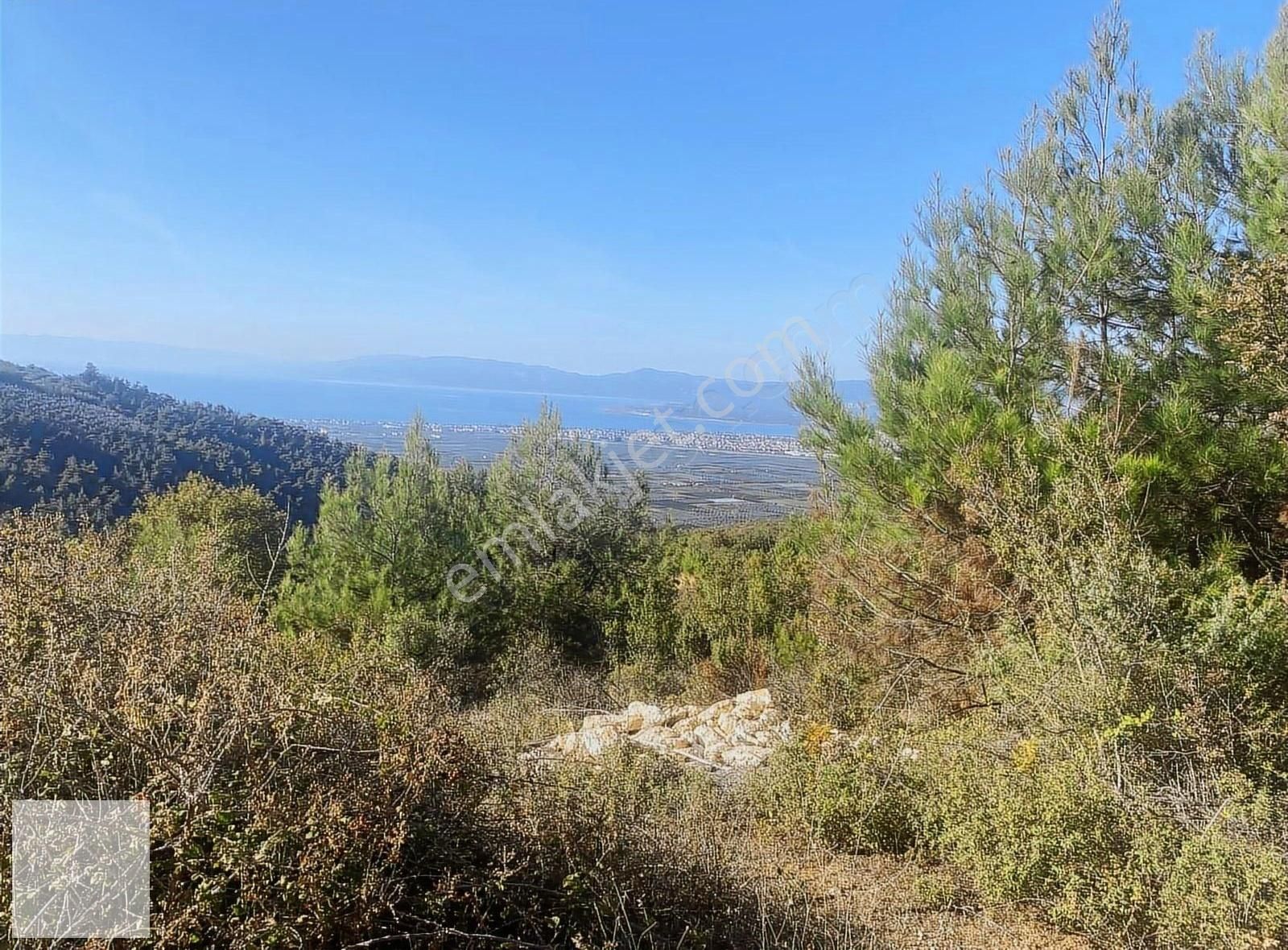 İznik Şerefiye Satılık Tarla Şerefiye Köyünde Tamamı Göl Manzaralı Tarla