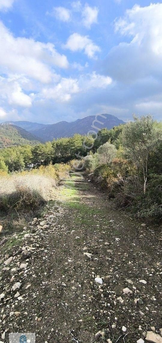 Kumluca Yazır Satılık Tarla Antalya Kumluca Olimpos'ta Satılık Tarla