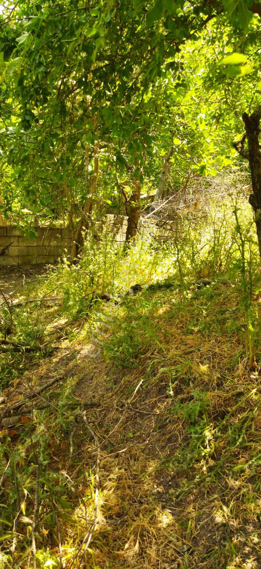 Yetiş Emlaktan Lalaşahin De 650m2 2.5 Kat Konut İmarlı Arsa Mustafakemalpaşada - Görsel 3