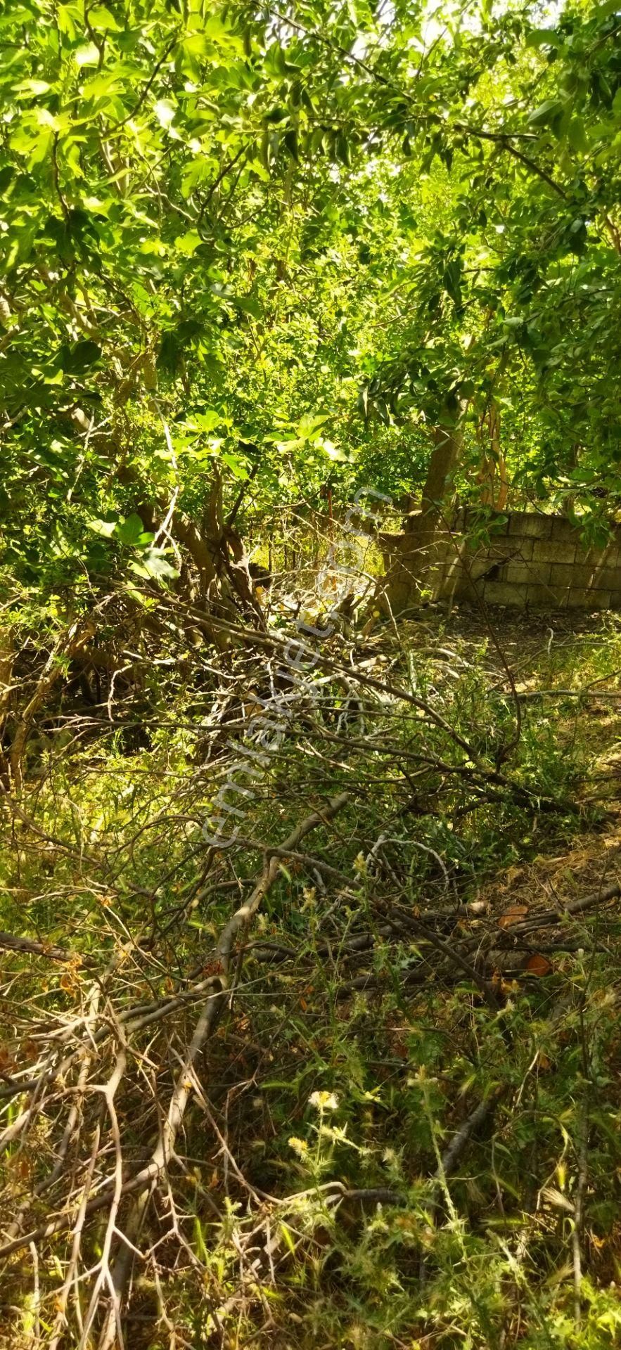 Yetiş Emlaktan Lalaşahin De 650m2 2.5 Kat Konut İmarlı Arsa Mustafakemalpaşada - Görsel 2