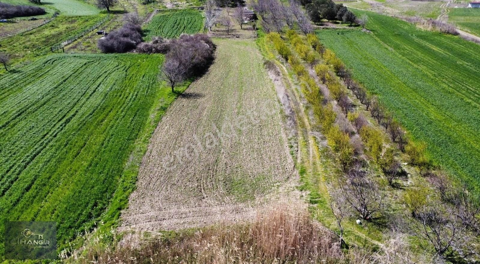 Çanakkale Merkez Özbek Köyü Satılık Tarla Çanakkale Merkez Özbek Sahilde Satılık 382 M2 Tarla