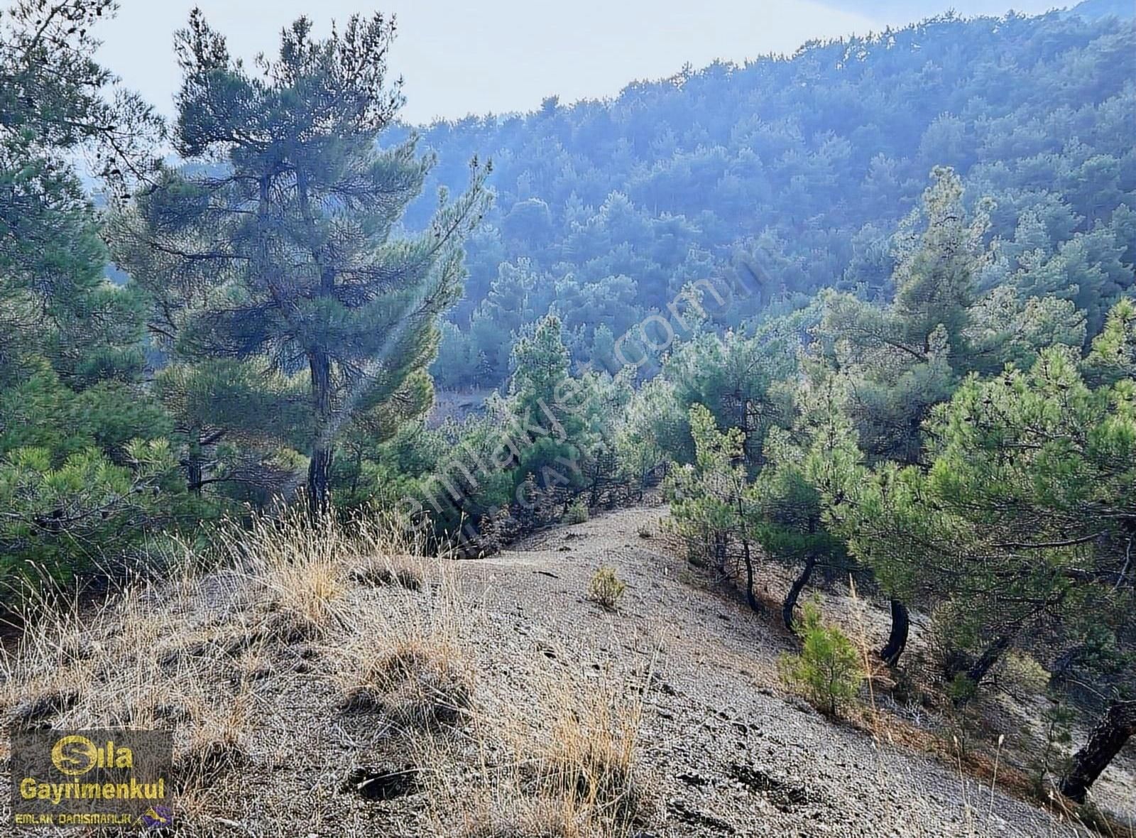 Osmancık Sarpunkavak Köyü (Merkez) Satılık Tarla Sıla Gayrimenkulden 14.626m2.orman İçinde Baraj Manzaralı Tarla