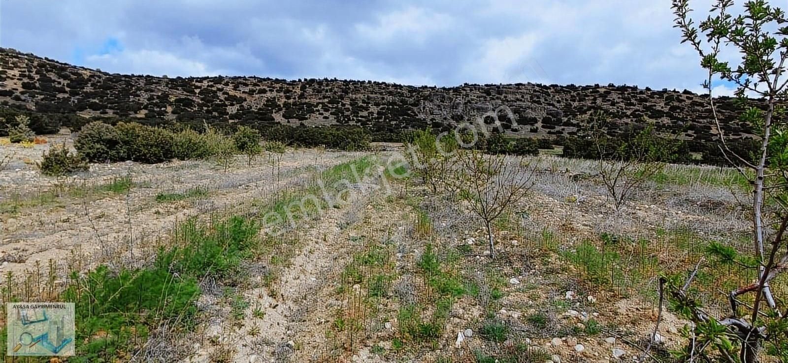 Burdur Merkez İlyas Köyü (Çay) Satılık Tarla Aysa Gayrimenkul Den Burdur İlyas Köyünde 5804m2