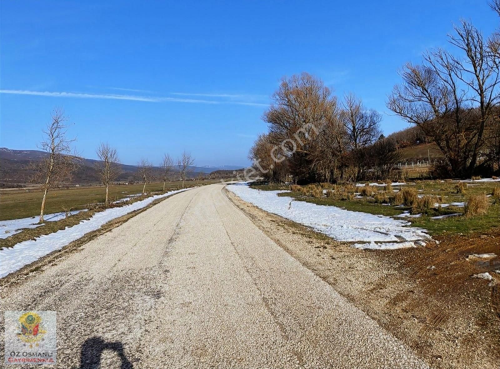 Osmaneli Oğulpaşa Köyü (Merkez) Satılık Tarla 360 M2 Meraya Cepheli Satılık Tarla