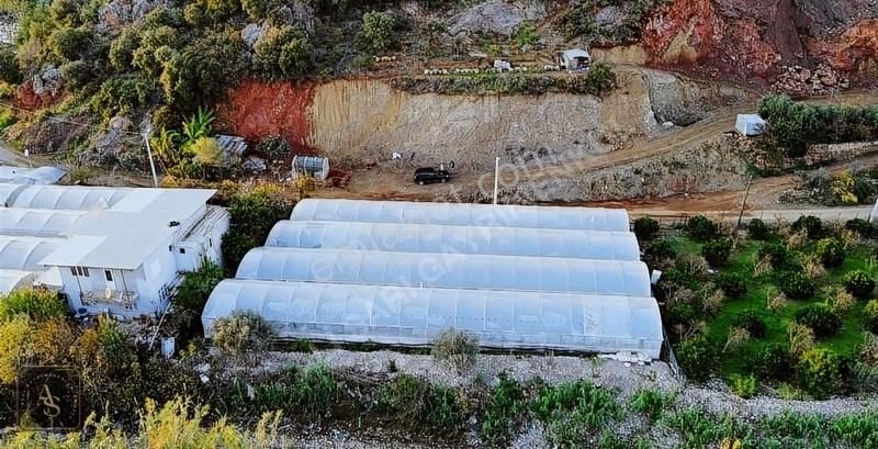 Kumluca Sarıcasu Satılık Tarla Ali Sarı Gayrimenkul Merkez De Onursal Arkası Tek Tapu 1 Dönüm