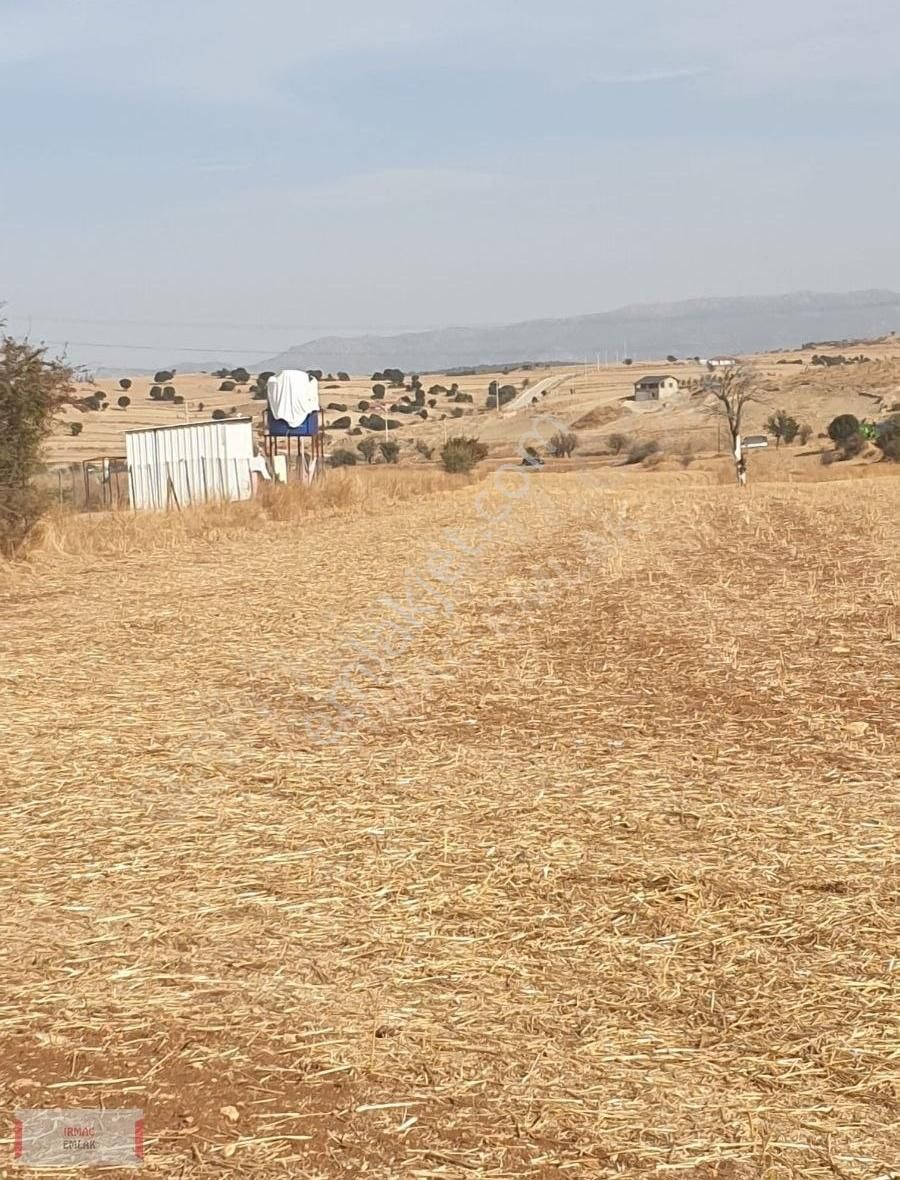 Korkuteli Kevserde Anayol Üzerinde Satılık 12900 M Tarla - Görsel 4