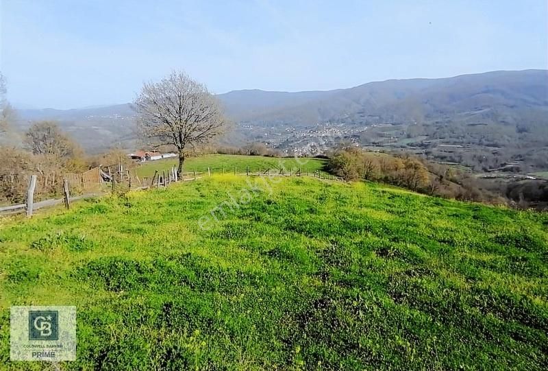 Gölcük Siyretiye Satılık Tarla Hamidiyede Satılık Arsa