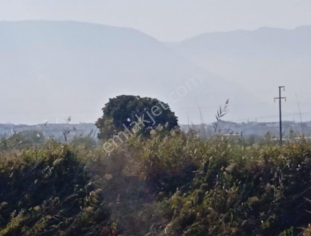 Yunusemre Muradiye Satılık Bağ & Bahçe Manisa Muradiye De 2100m2 Satılık Tek Tapu Bağ