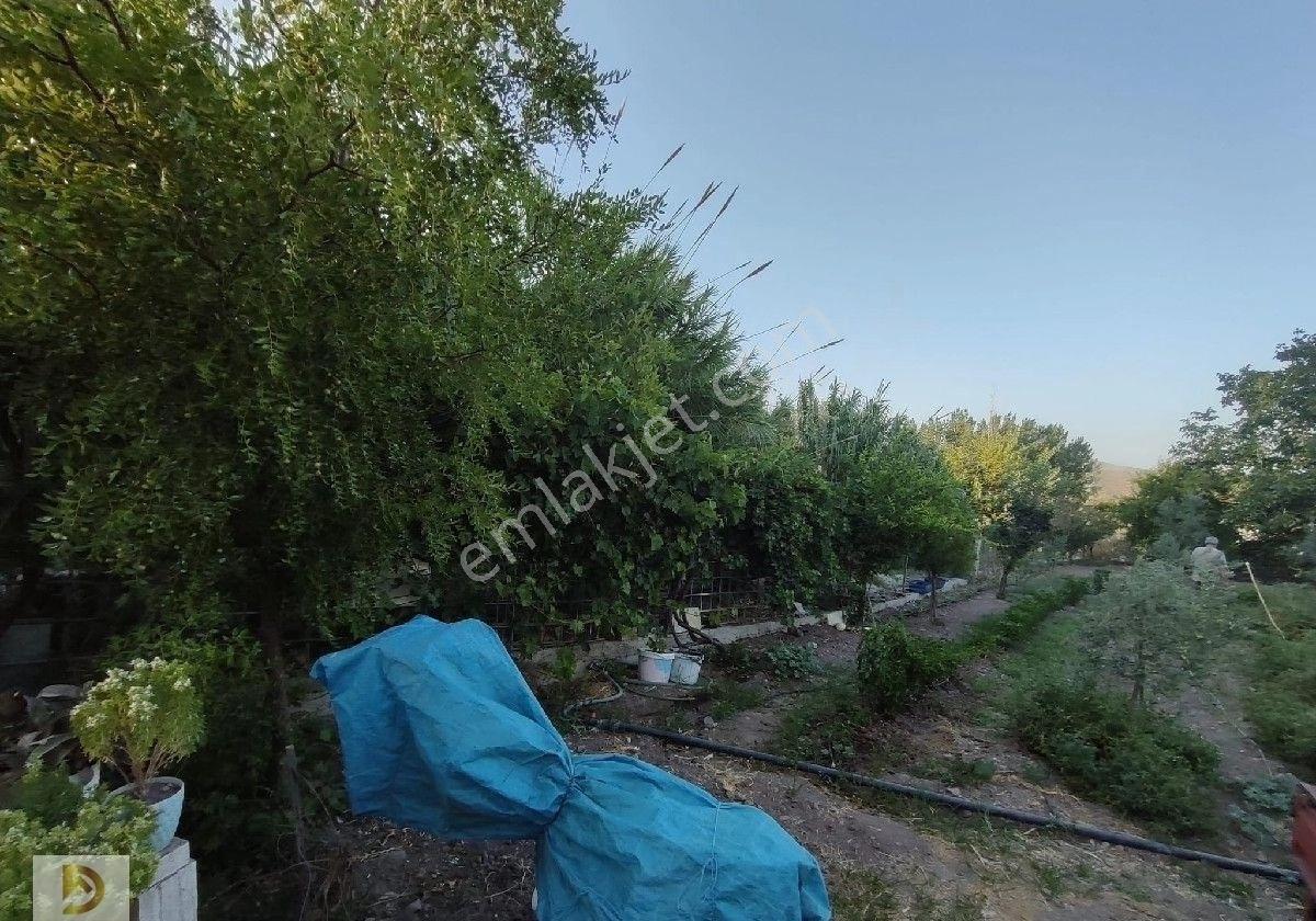 Satılık İmarlı Arsa 880 M2 Manisa Bostanlar Köyünde Ruhsatlı Konteyner Dahil Ceketini Al Gel - Görsel 24