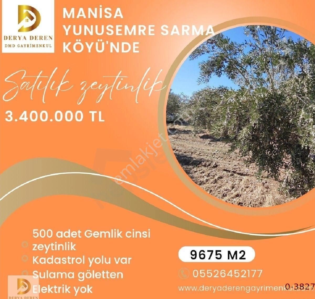 Yunusemre Sarma Satılık Tarla Satılık Zeytinlik Manisa Yunusemre Sarma Köyü'nde 9675 M2