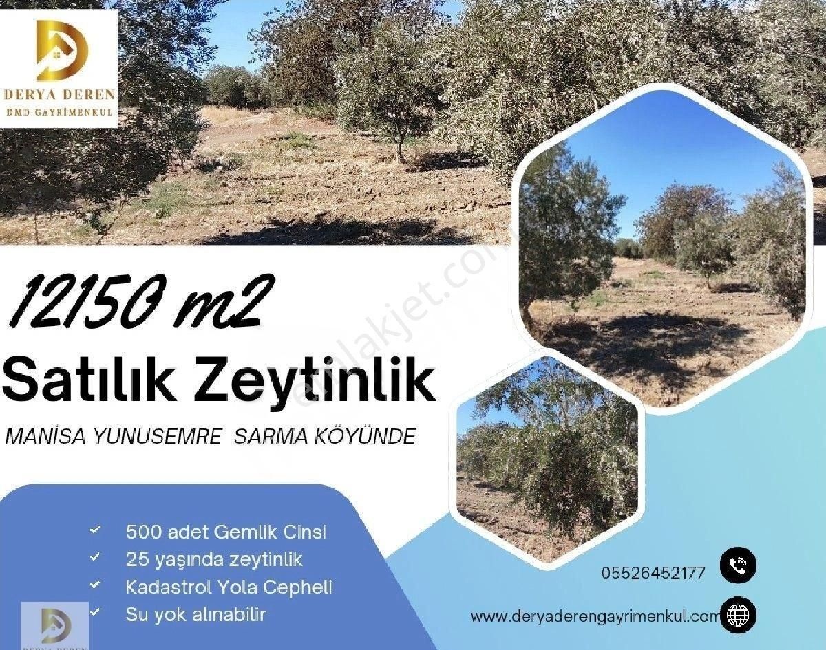 Yunusemre Sarma Satılık Tarla Satılık Zeytinlik 12150 M2 Manisa Yunusemre Sarma Köyü'nde Tek Tapu