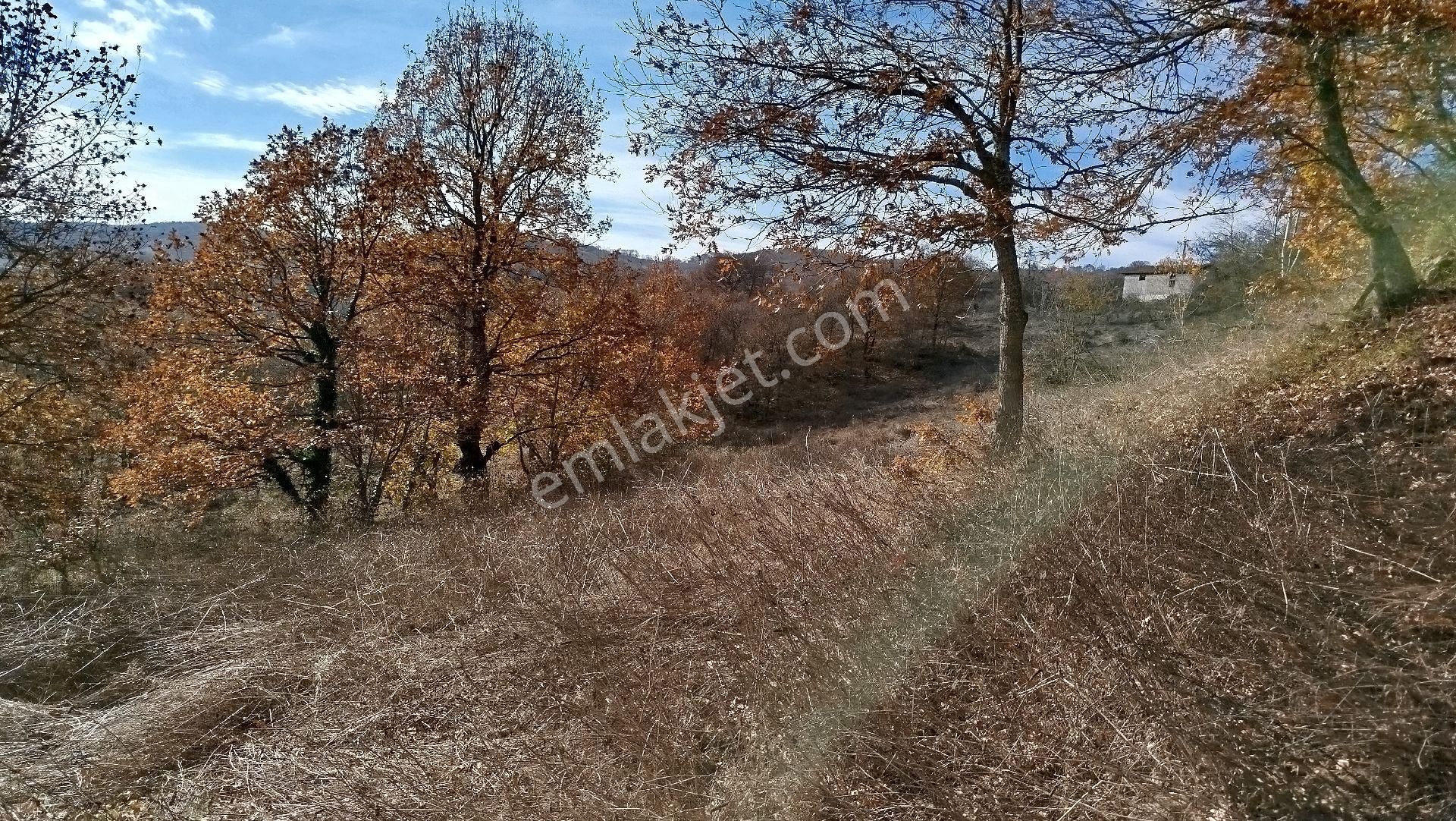 Gönen Söğüt Satılık Tarla Fiyat Düştü Satılık Tarla 6.300 M2 Gönen Söğüt Köyünün Girişinde