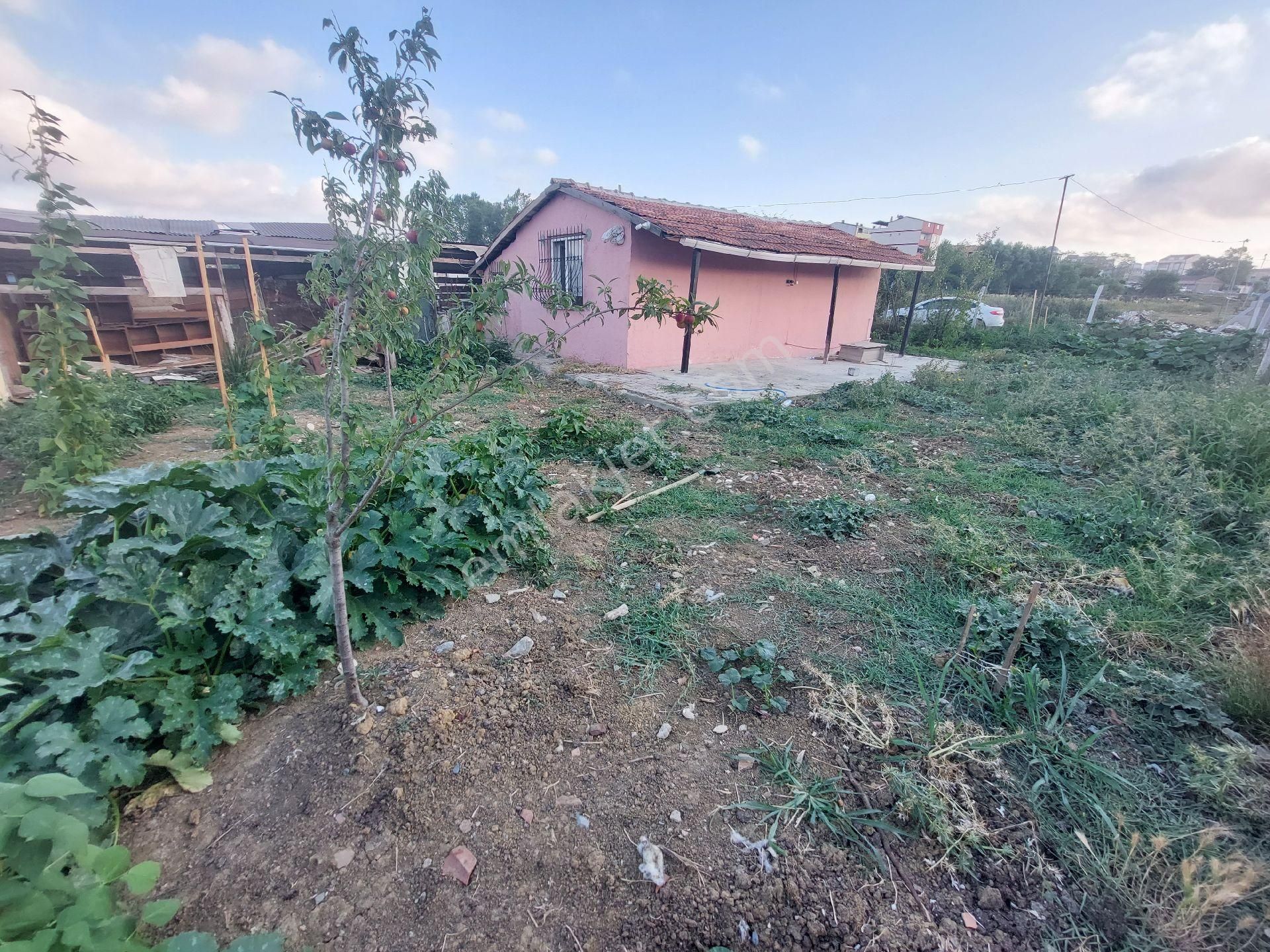 Arnavutköy De Müstakil Ev Ahır Bahçe