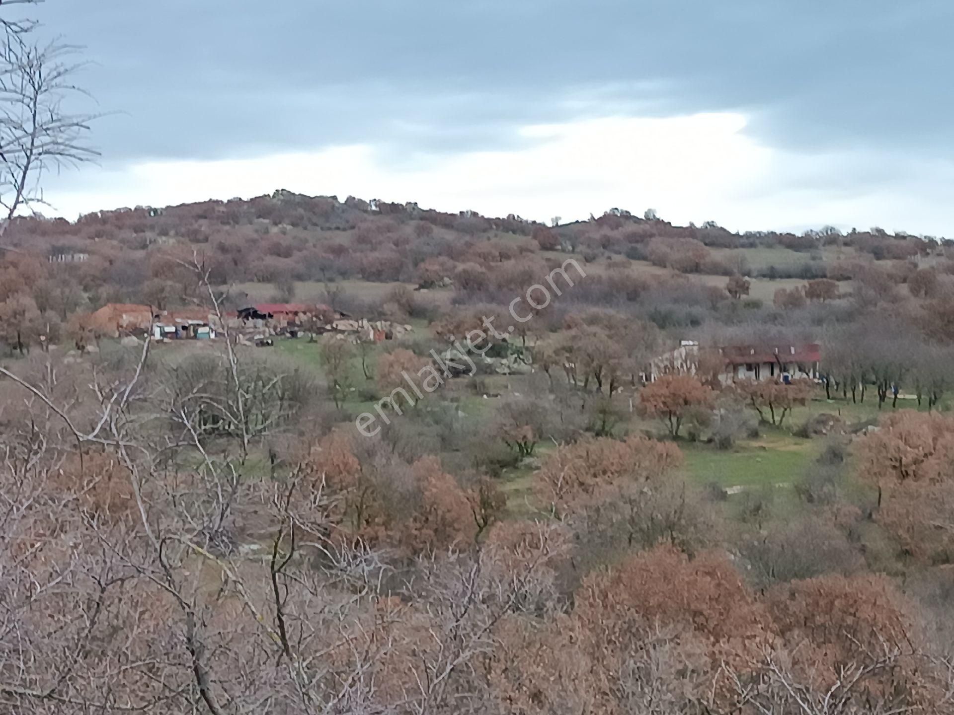 Kırklareli Merkez Demircihalil Köyü Satılık Tarla Demircihalil Köyünde Kaçırılmaacak Satılık Tarla 4.200 M2