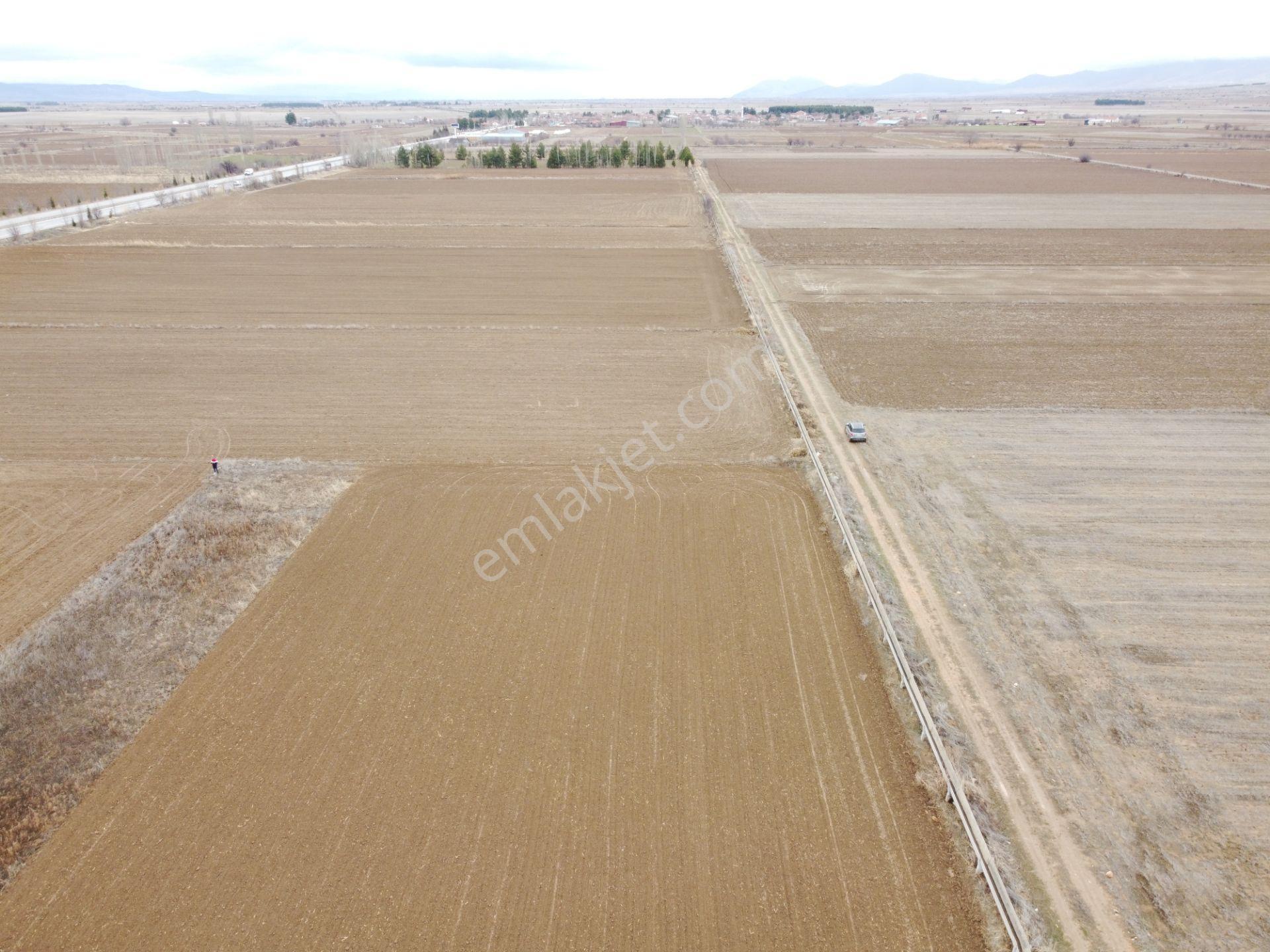 Denizli Baklan Konak Da 1103 M2 Tek Tapu Tarla Karadeniz Emlakta - Görsel 7