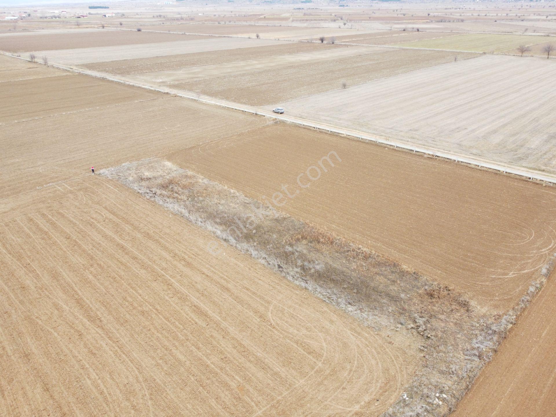 Denizli Baklan Konak Da 1103 M2 Tek Tapu Tarla Karadeniz Emlakta - Görsel 16