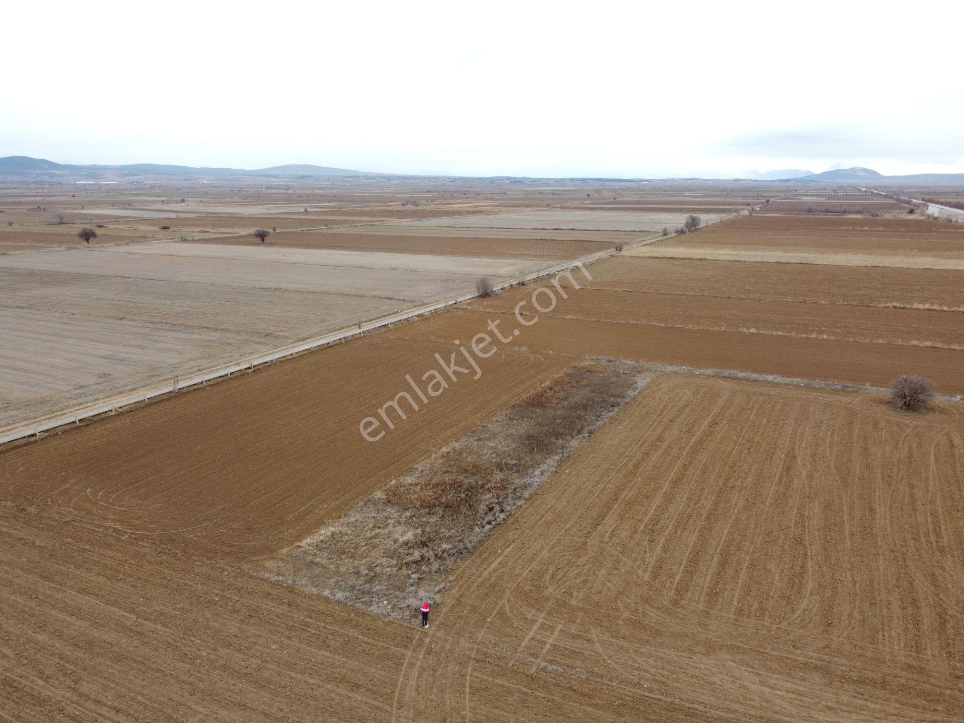 Denizli Baklan Konak Da 1103 M2 Tek Tapu Tarla Karadeniz Emlakta - Görsel 6