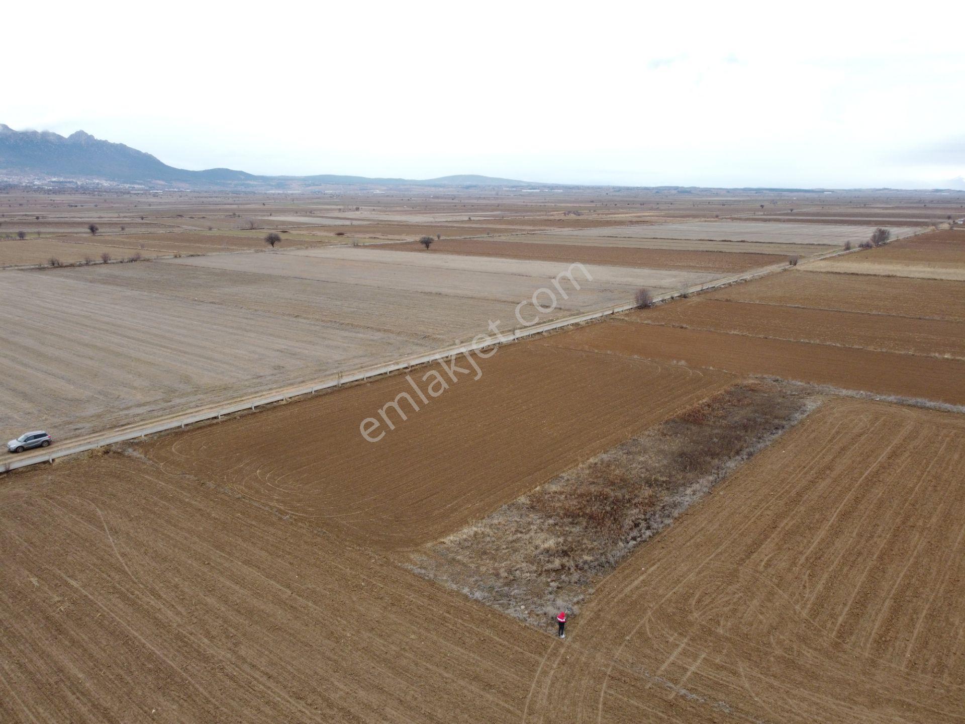 Denizli Baklan Konak Da 1103 M2 Tek Tapu Tarla Karadeniz Emlakta - Görsel 9