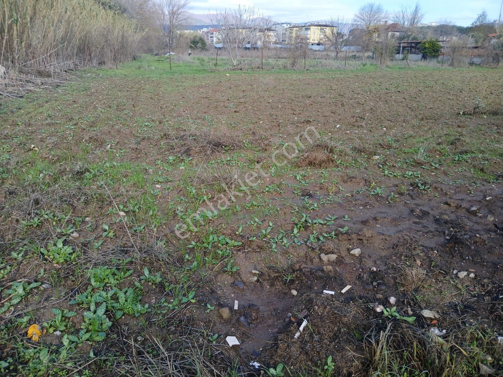 Nazilli İsabeyli Satılık Konut İmarlı Aydın Nazilli İsabeyli Mahallesinde Satılık Villa Arsası