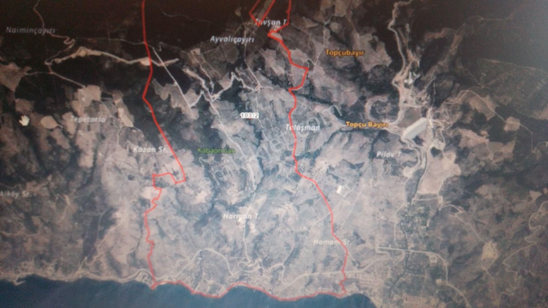 Gemlik Karacaali'de Satılık Zeytinlik Tarla 2600m2. - Görsel 7