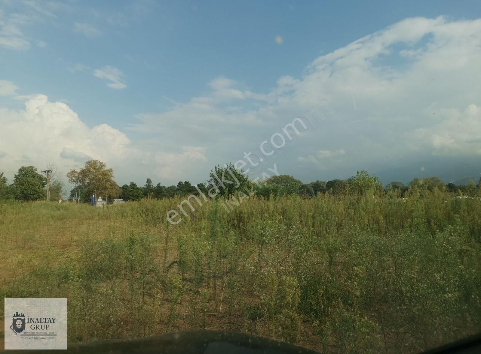 Başiskele Kullar Tepecik Satılık Tarla Başiskele Kullarda Yol Üstü Arazi