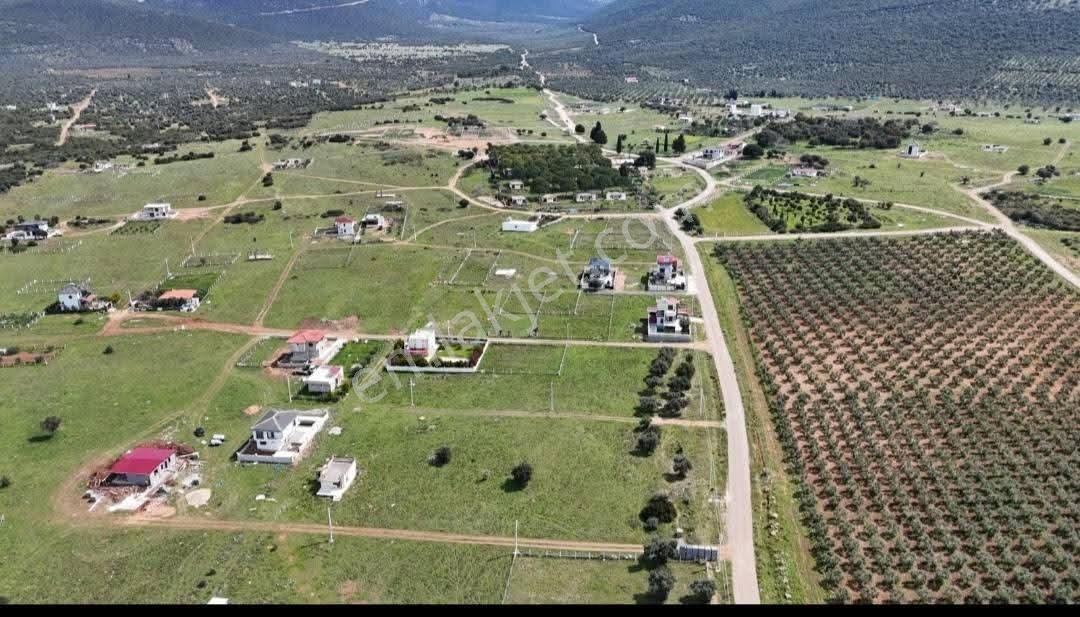 Didim 1. Balova 300 M2 Tam Müstakil Satılık Arsa - Görsel 5