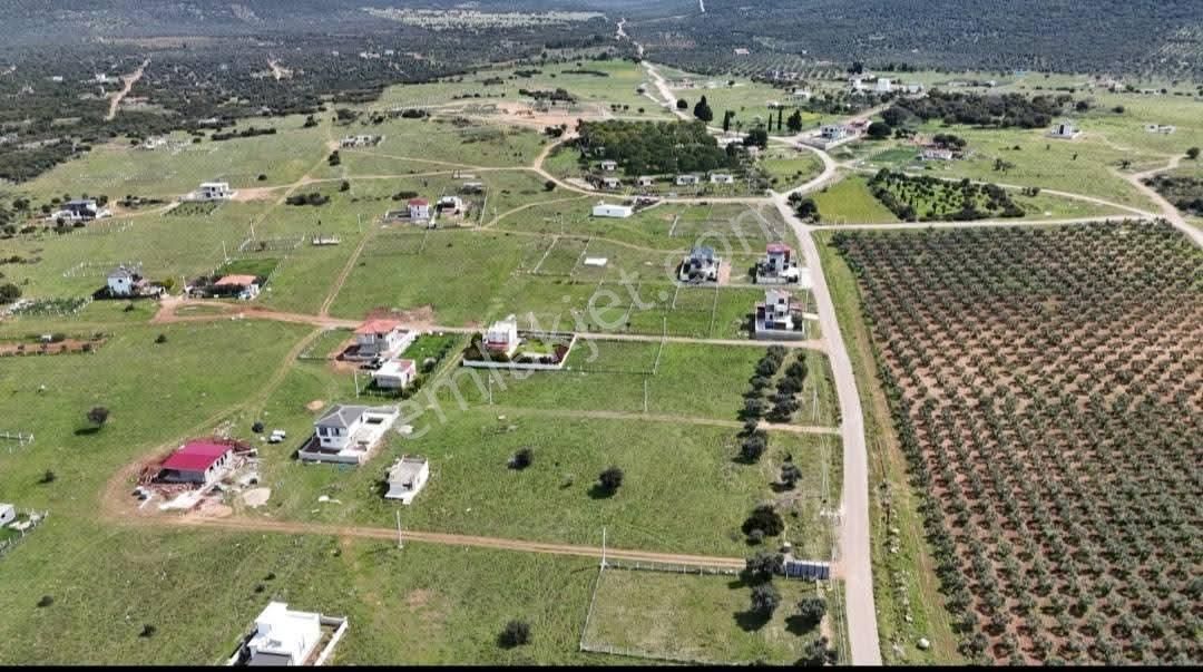Didim 1. Balova 300 M2 Tam Müstakil Satılık Arsa - Görsel 3