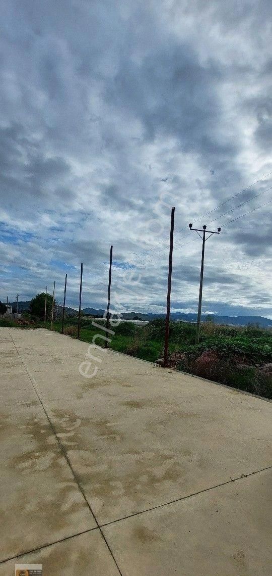 Dikili Çanakkale Ana Asfaltı Üzerinde Ticari Yapı Kullanım İzini Olan 4.952 Metre Tarla Satılık - Görsel 3