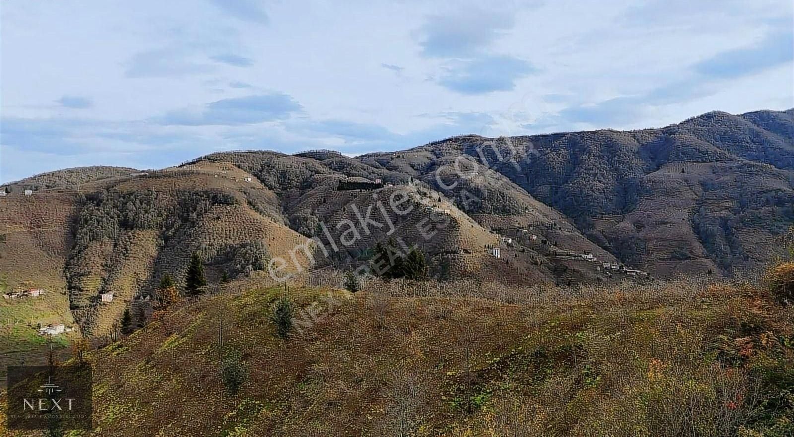 Yomra Pınarlı Satılık Tarla Trabzon Yomra Pınarlı Da Satılık Arazi