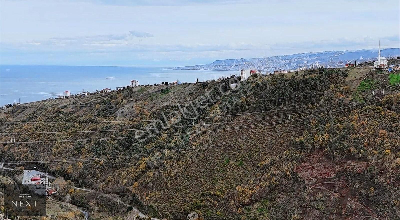 Akçaabat Kavaklı Satılık Tarla Kavaklıda Satılık Arsa