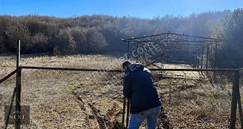 İznik Yenişerefiye Satılık Özel Kullanım İznikte Çiftlik Ve Hayvanclık İçin Uygun Acill Fiyatı Fırsat Dır