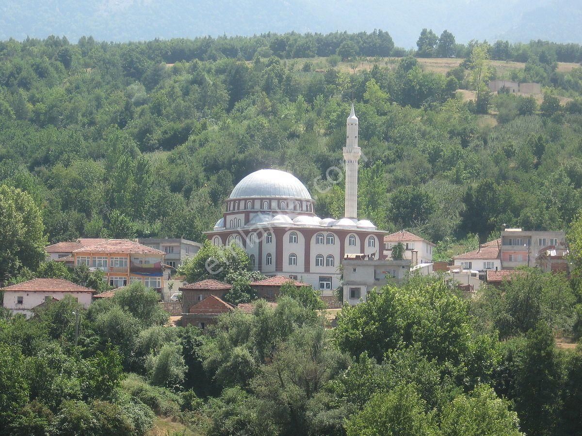 Kestel Lütfiye Satılık Tarla Kestel Lütfiye,de Ahududu Ekili Satılık 1674 M2 Hobi Bahçesi